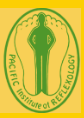 Pacific Institute Of Reflexology Logo
