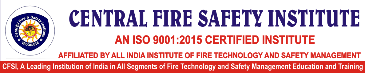 Central Fire & Safety Institute Logo