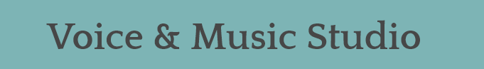 Voice & Music Studio Logo