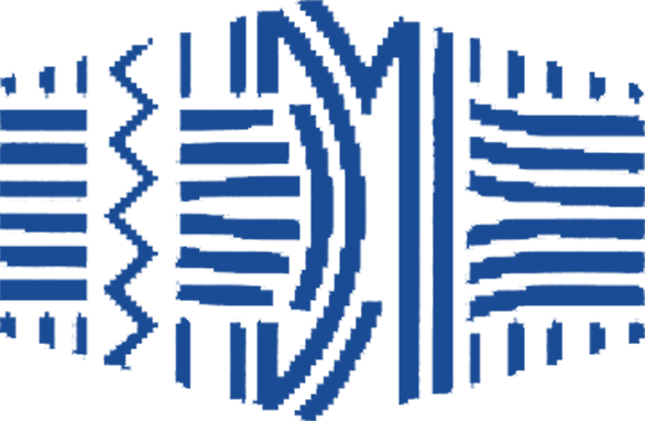 Disaster Management Institute Logo