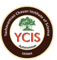 YCIS Satara Logo