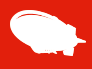 Red Airship Holdings Logo