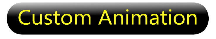 Custom Animation Logo