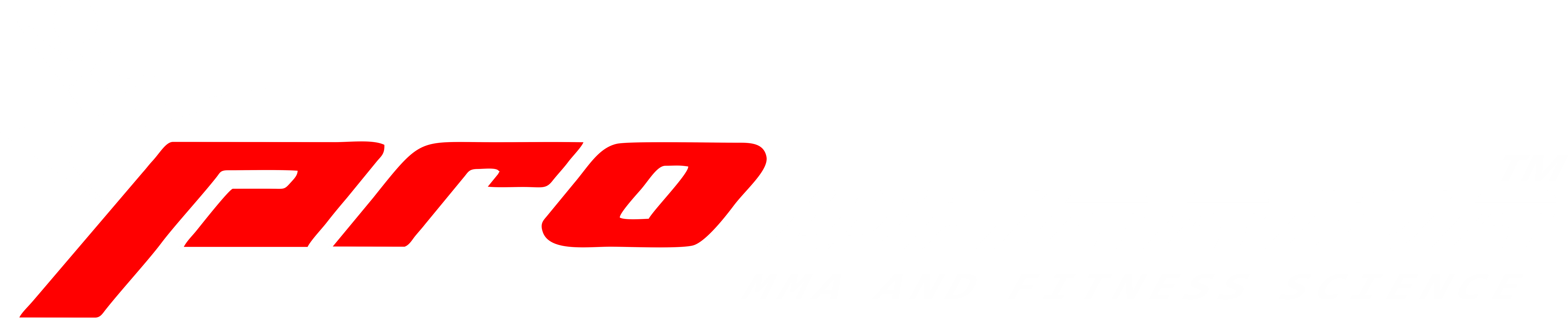 Pro Warrior MMA Logo