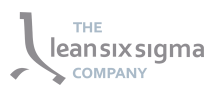 The Lean Six Sigma Company Logo