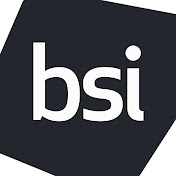 The British Standards Institution Logo