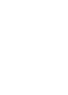 Tennis NZ Logo