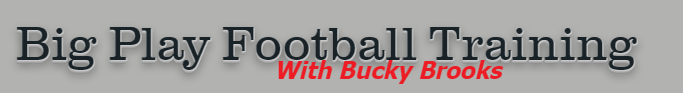Big Play Football Training Logo