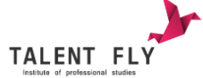 Talent Fly Logo
