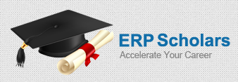 ERP Scholars Logo