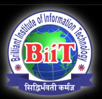 BiiT (Brilliant Institute of Information Technology) Logo