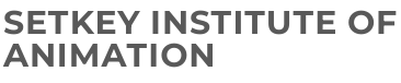 Setkey Institute of Animation Logo