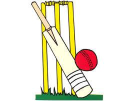 Star Cricket Academy Logo
