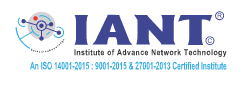 Institute of Advance Network Technology Logo