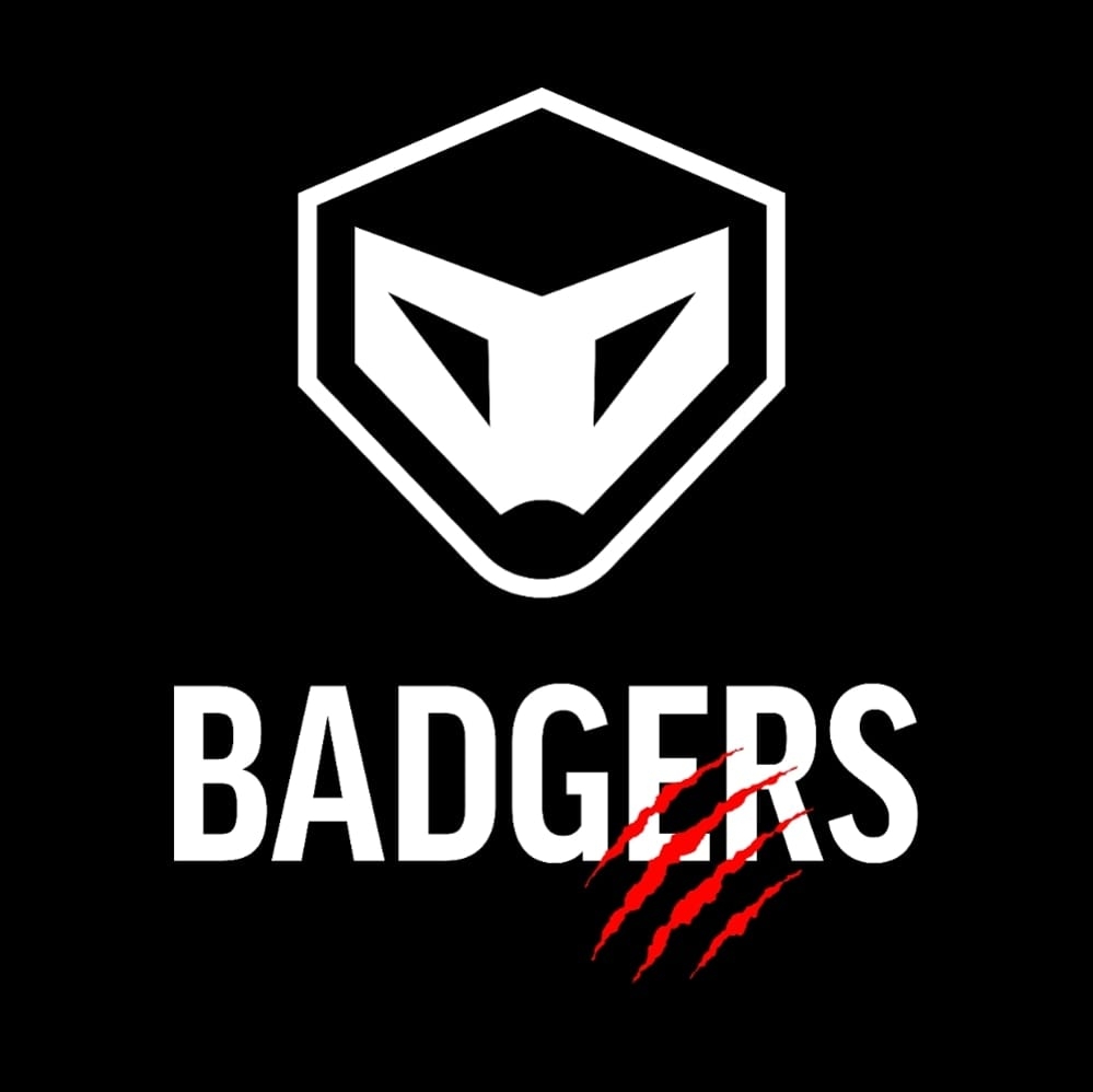 Badgers Academy Logo