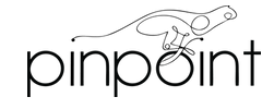 Pinpoint Group Logo