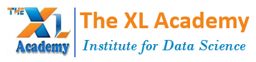 The XL Academy Logo