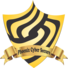 Phoenix Cyber Secure Logo