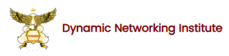 Dynamic Networking Institute Logo