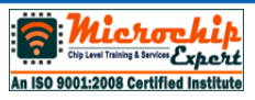 Microchip Expert Solution Logo