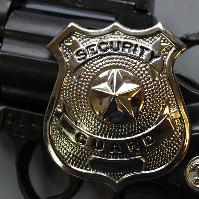 Security Officer Training Center Logo