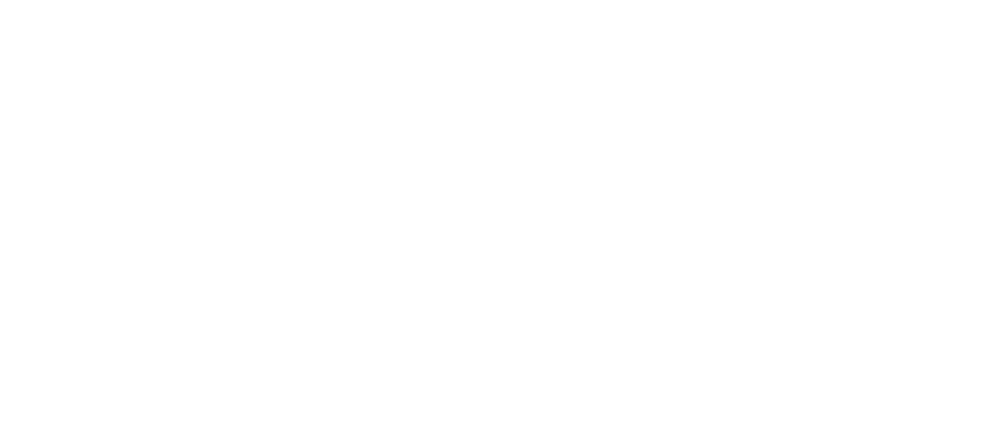 Regina Flying Club Logo