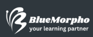 Bluemorpho Learning Solutions Logo