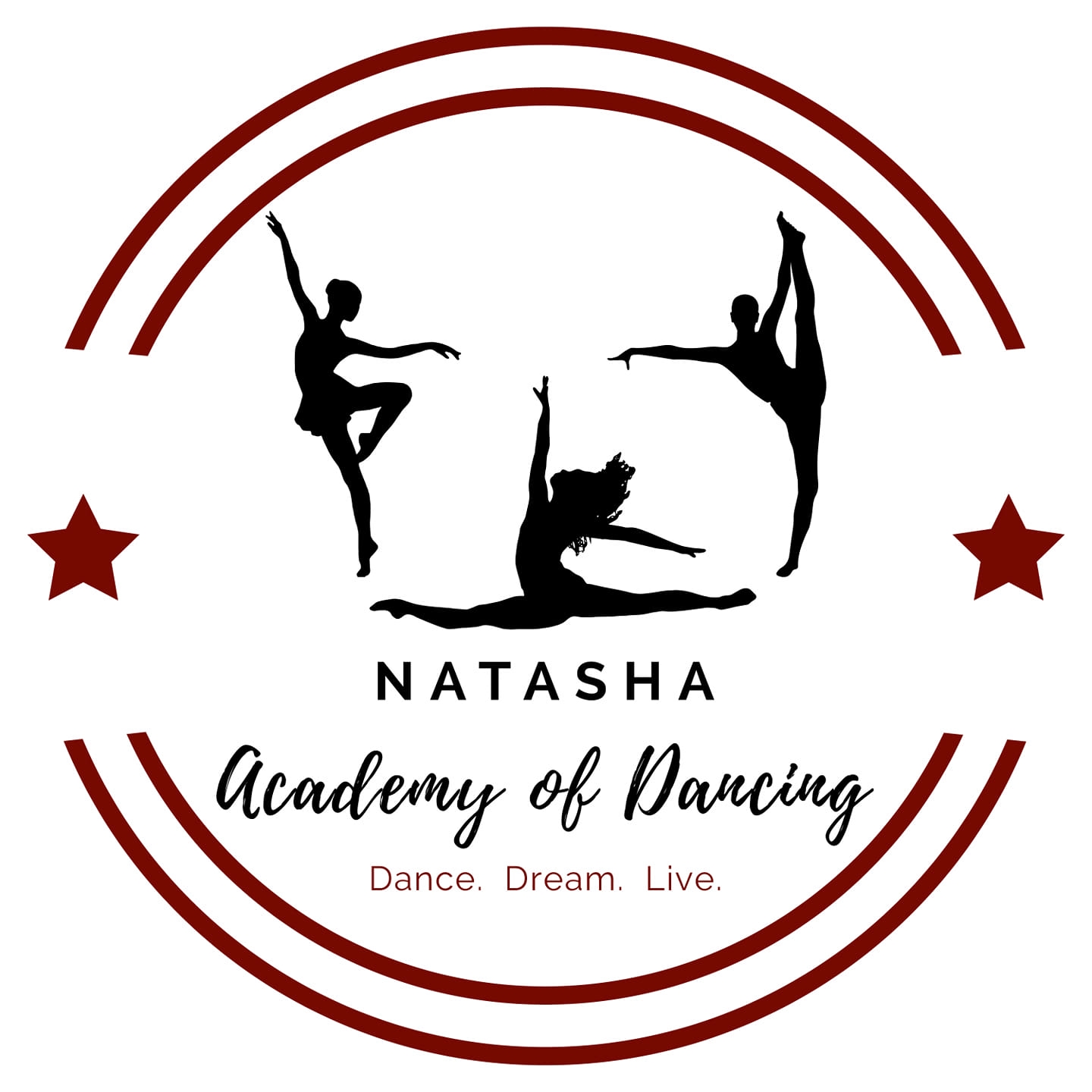 Natasha Academy of Dancing Logo
