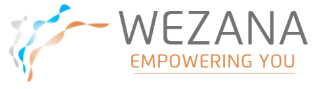 Wezana Solutions Logo