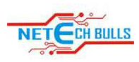 Netech Bulls Logo