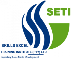 Skills Excel Training Institute Logo