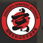 The Karate School Logo