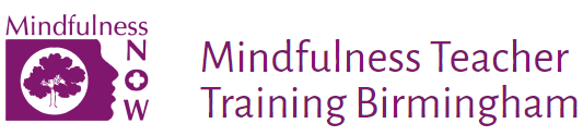Mindfulness Now Logo