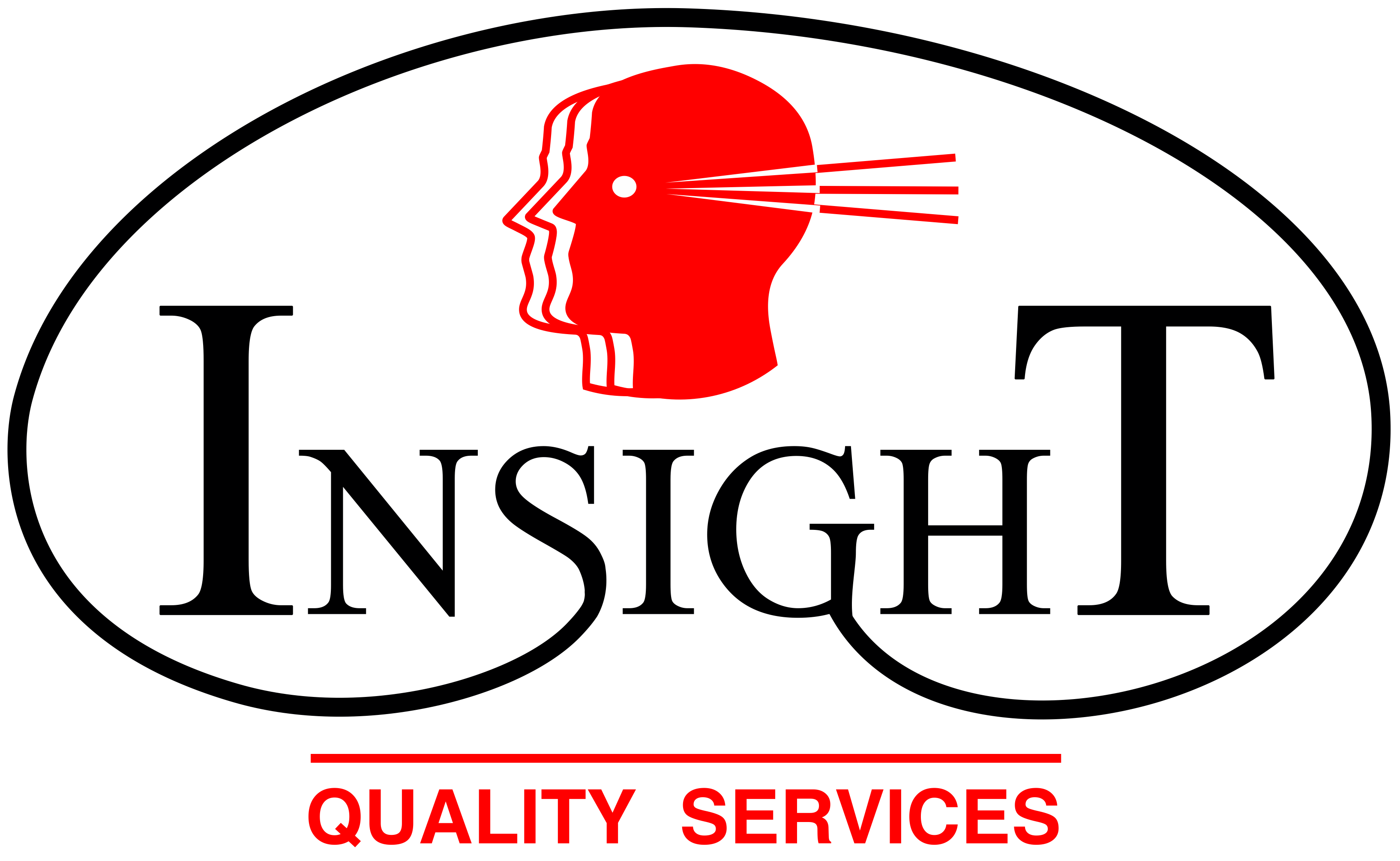 Insight Quality Services Logo