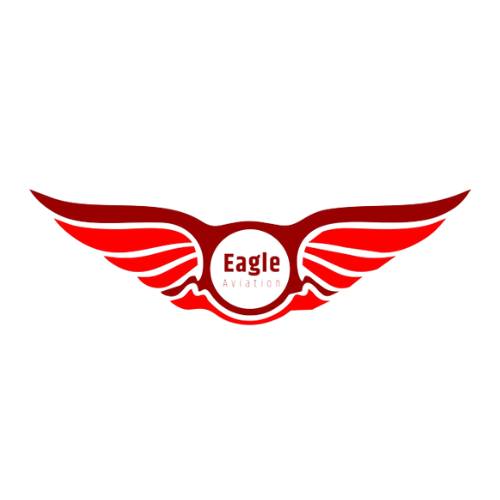 Eagle Aviation Academy Logo