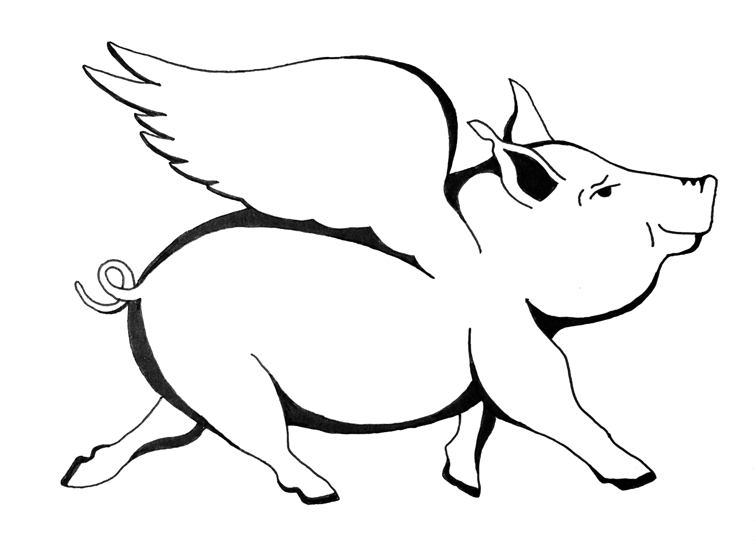 The Flying Pig Dance Studio Logo