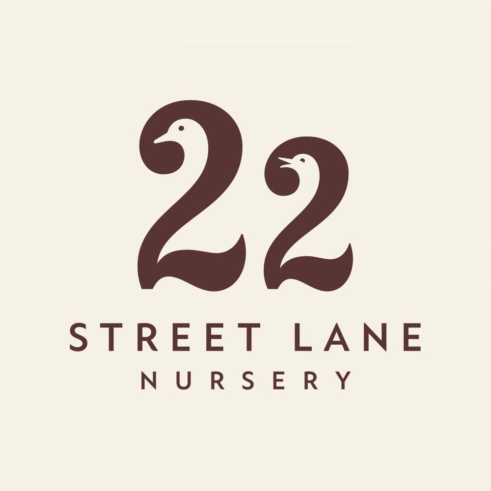 22 Street Lane Nursery Logo