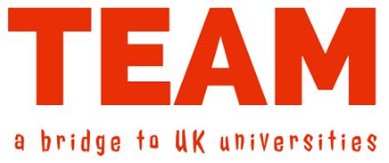 Team Consultancy UK Logo