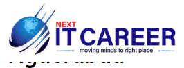 Next IT Career Logo