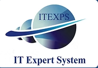 IT Expert System Logo