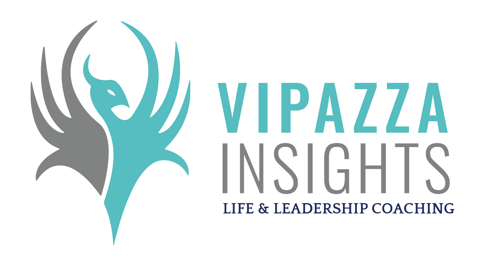 Vippaza Insights Logo