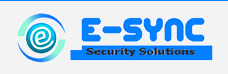 E-SYNC Security Solutions Logo