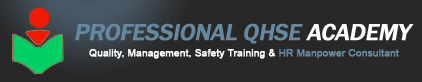 Professional QHSE Academy Logo