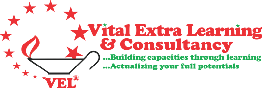 Vital Extra Learning and Consultancy (Main) Logo