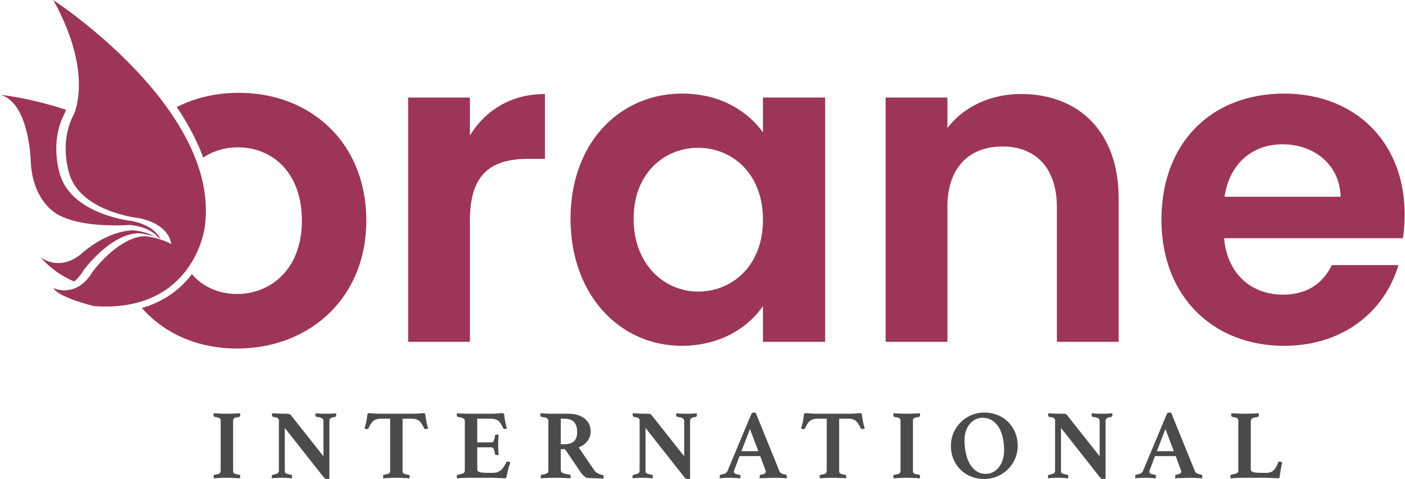 Orane International School of Beauty & Wellness Logo