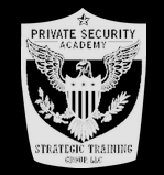Strategic Training Group LLC Logo