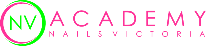 NV Academy Logo