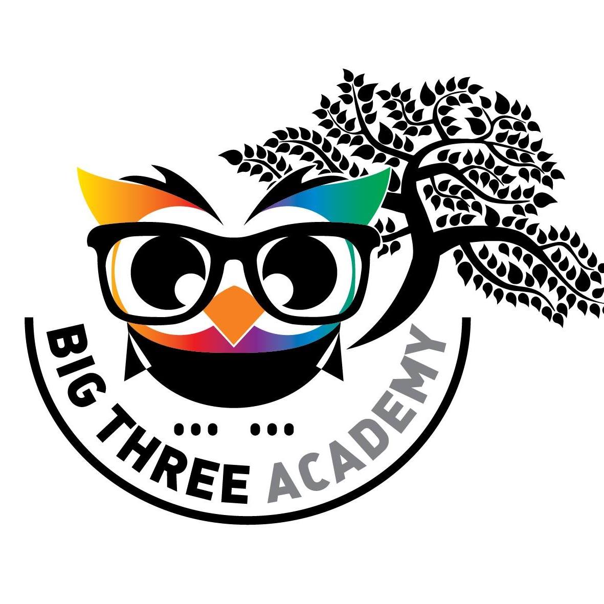 Big Three Academy Logo
