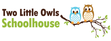 Two Little Owls Schoolhouse Logo