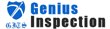Genius Inspection Logo